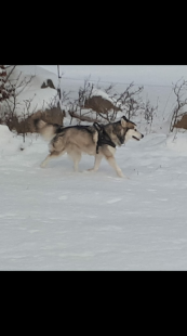 Bilder im Winter