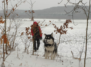 Bilder Hund u. Personen