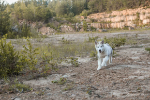 Bilder - Allgemein und Spass