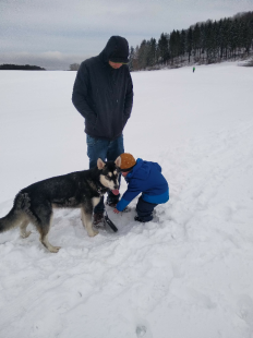 Bilder Hund u. Kind