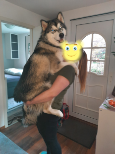 Bilder Hund u. Personen