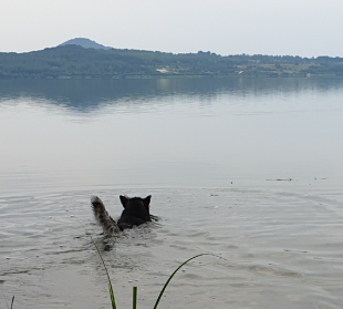 Bilder im/am Wasser