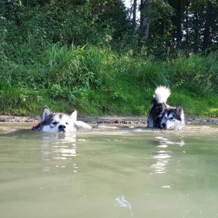 Bilder im/am Wasser