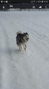 Bilder im Winter
