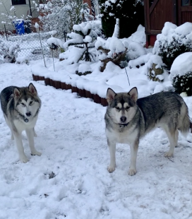 Bilder im Winter