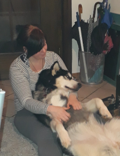 Bilder Hund u. Personen