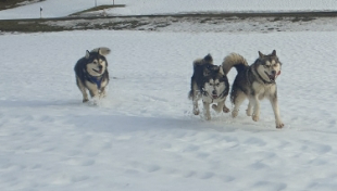 Bilder im Winter