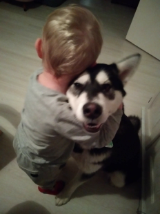 Bilder Hund u. Kind