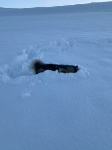 Bilder im Winter