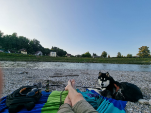 Bilder im/am Wasser