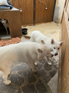 Bilder in der Wohnung