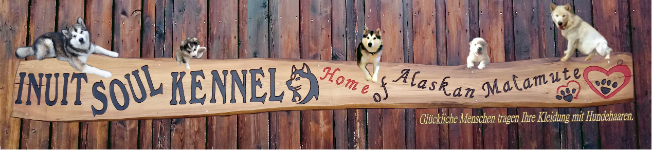 Alaskan Malamute