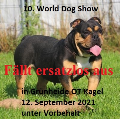 Ausstellung 12Sept2021