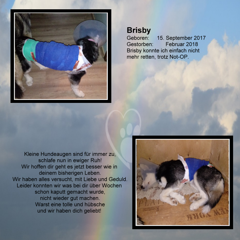Brisby01