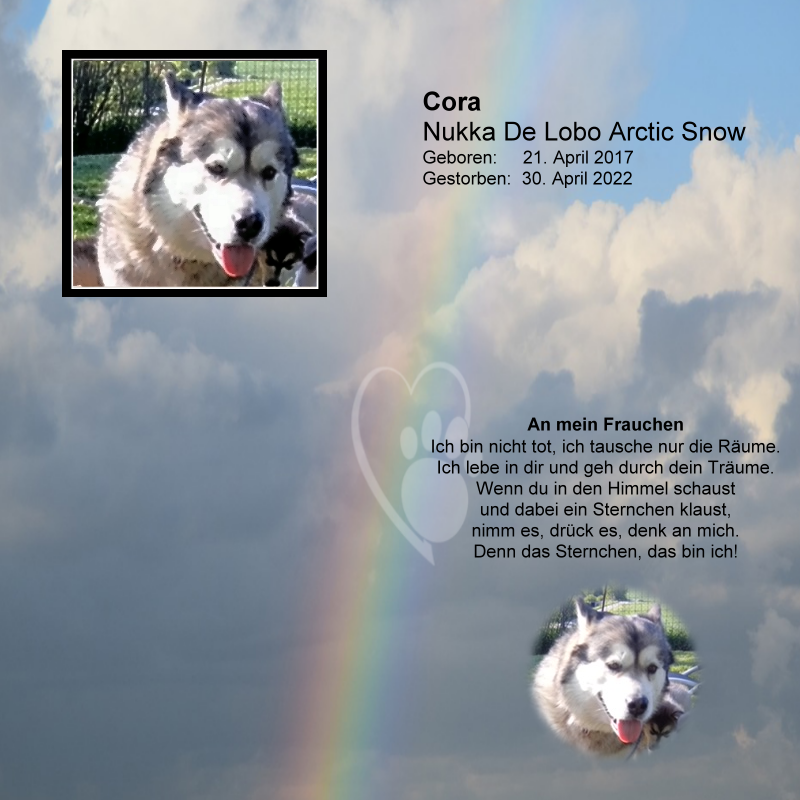 Cora01