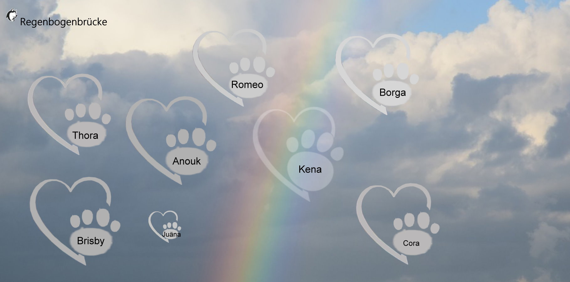 Regenbogenbrücke neu