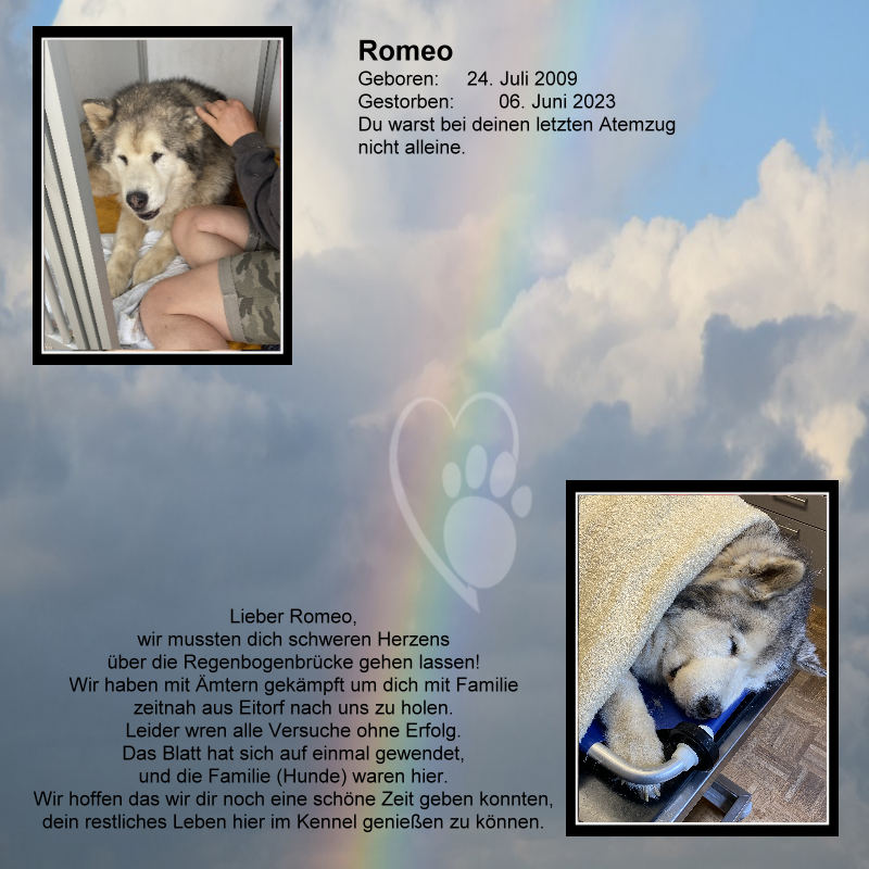 Romeo01