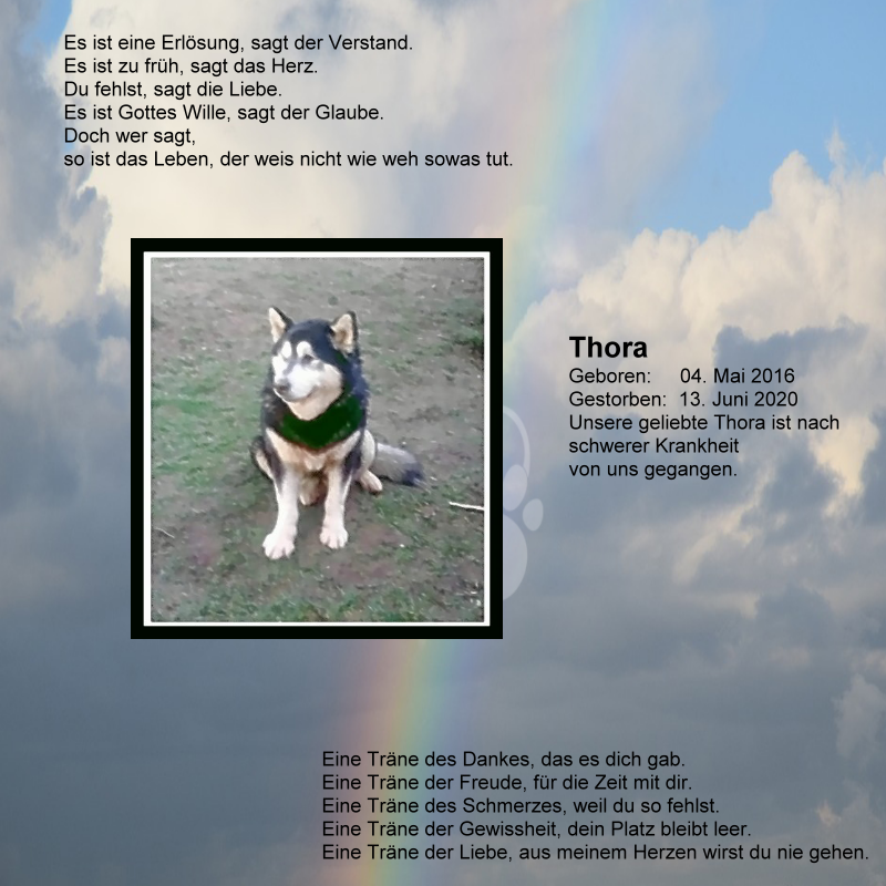 Thora01